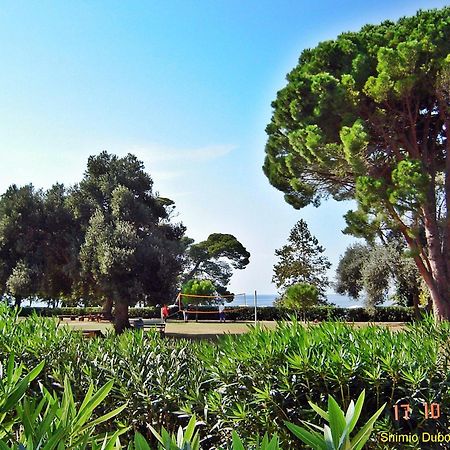 Dubrovnik Apartment Lasic エクステリア 写真