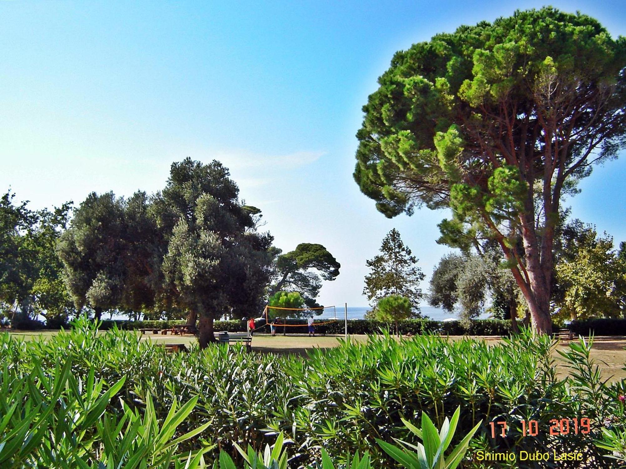 Dubrovnik Apartment Lasic エクステリア 写真